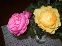 83e422b2-Picture 807.jpg